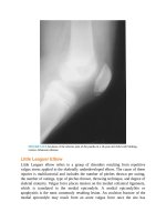 Pediatric emergency medicine trisk 3953 3953 