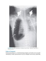 Pediatric emergency medicine trisk 4083 4083 