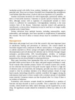 Pediatric emergency medicine trisk 2032 2032 