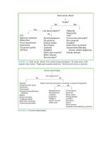 Pediatric emergency medicine trisk 93 