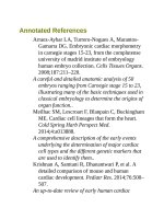 Andersons pediatric cardiology 140 