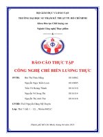 BÁO cáo THỰC tập CÔNG NGHỆ CHẾ BIẾN LƯƠNG THỰC 