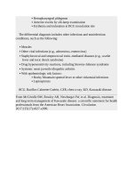 Andersons pediatric cardiology 1392 