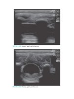 Pediatric emergency medicine trisk 4522 4522 