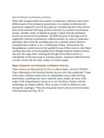 Andersons pediatric cardiology 953 