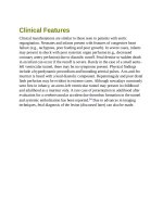 Andersons pediatric cardiology 1356 