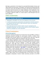 Pediatric emergency medicine trisk 3343 3343 