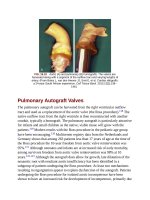 Andersons pediatric cardiology 366 