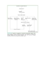 Pediatric emergency medicine trisk 3110 3110 