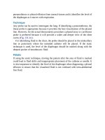 Pediatric emergency medicine trisk 4517 4517 