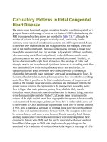 Andersons pediatric cardiology 203 