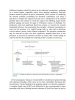 Pediatric emergency medicine trisk 1549 1549 