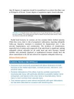 Pediatric emergency medicine trisk 3471 3471 