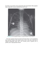 Pediatric emergency medicine trisk 3114 3114 