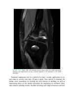 Pediatric emergency medicine trisk 3956 3956 