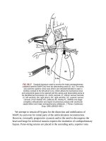 Andersons pediatric cardiology 962 