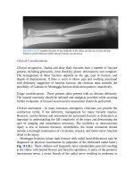 Pediatric emergency medicine trisk 3476 3476 