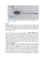 Pediatric emergency medicine trisk 501 