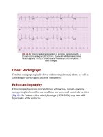 Andersons pediatric cardiology 1658 