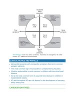 Pediatric emergency medicine trisk 1742 1742 