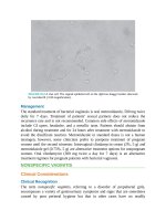 Pediatric emergency medicine trisk 2130 2130 