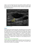 Pediatric emergency medicine trisk 4527 4527 