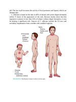 Pediatric emergency medicine trisk 1337 1337 