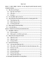 dự án kinh doanh viện dưỡng lão