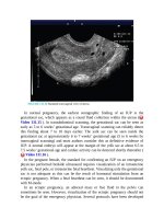 Pediatric emergency medicine trisk 4502 4502 