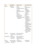 Pediatric emergency medicine trisk 231 