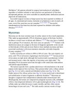 Andersons pediatric cardiology 1376 