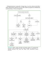 Pediatric emergency medicine trisk 1726 1726 