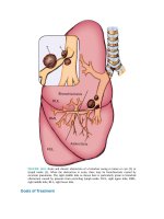 Pediatric emergency medicine trisk 4068 4068 
