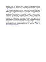 Pediatric emergency medicine trisk 214 