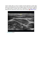 Pediatric emergency medicine trisk 4525 4525 