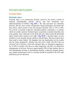 Pediatric emergency medicine trisk 1333 1333 