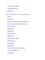 Andersons pediatric cardiology 13 