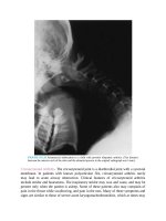 Pediatric emergency medicine trisk 2997 2997 