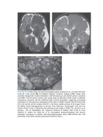 Pediatric emergency medicine trisk 2497 2497 