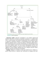 Pediatric emergency medicine trisk 1062 1062 