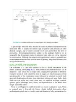 Pediatric emergency medicine trisk 0997 0997 