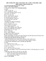 ĐỀ CƯƠNG kì 1 ANH 6 thí điểm 2020 