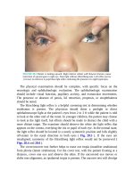 Pediatric emergency medicine trisk 0595 0595 