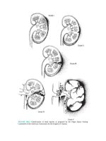 Pediatric emergency medicine trisk 3316 3316 