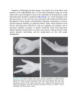 Pediatric emergency medicine trisk 3479 3479 