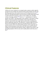 Andersons pediatric cardiology 1354 