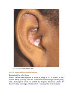 Pediatric emergency medicine trisk 1334 1334 