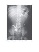 Pediatric emergency medicine trisk 3076 3076 