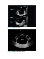 Pediatric emergency medicine trisk 4519 4519 