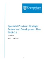 specialist-provision-strategic-review-and-development-plan-v3